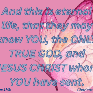 John-17-3