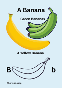 Page 2 of A-Z Alphabets and Names of Fruits Learning E-Book – Letter with FruitIllustration and Coloring Outline