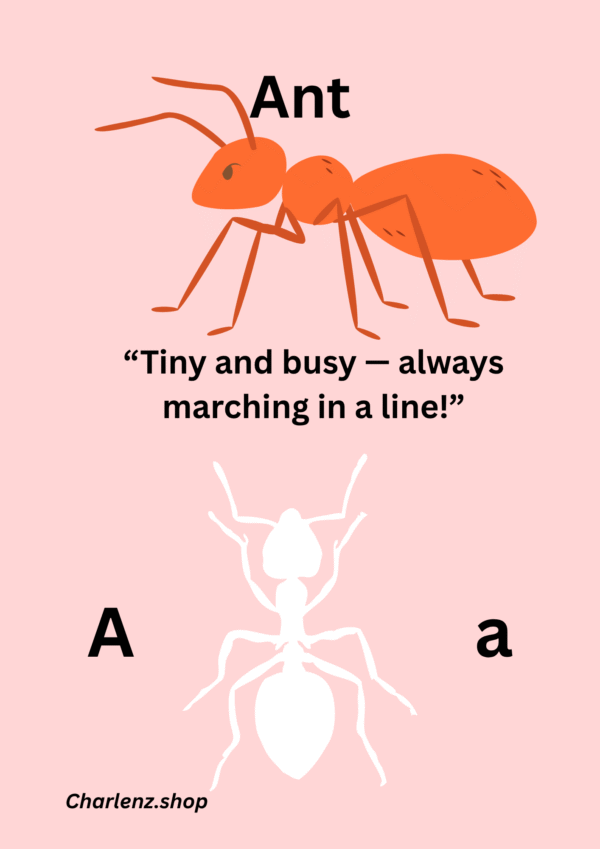 Page 1 of A-Z Alphabets and Names of Animals & Birds Learning Book – Letter [Letter] with [Animal] Illustration and Coloring Outline